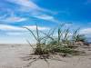 Am Strand von Löderup
