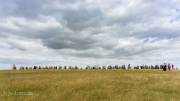 Ales stenar
