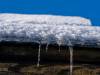 Winter in der Seelhorst