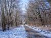 Winter in der Seelhorst