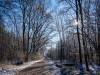 Winter in der Seelhorst