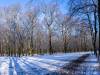 Winter in der Seelhorst