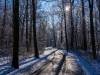 Winter in der Seelhorst