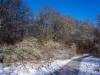 Winter in der Seelhorst