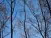 Winter in der Seelhorst
