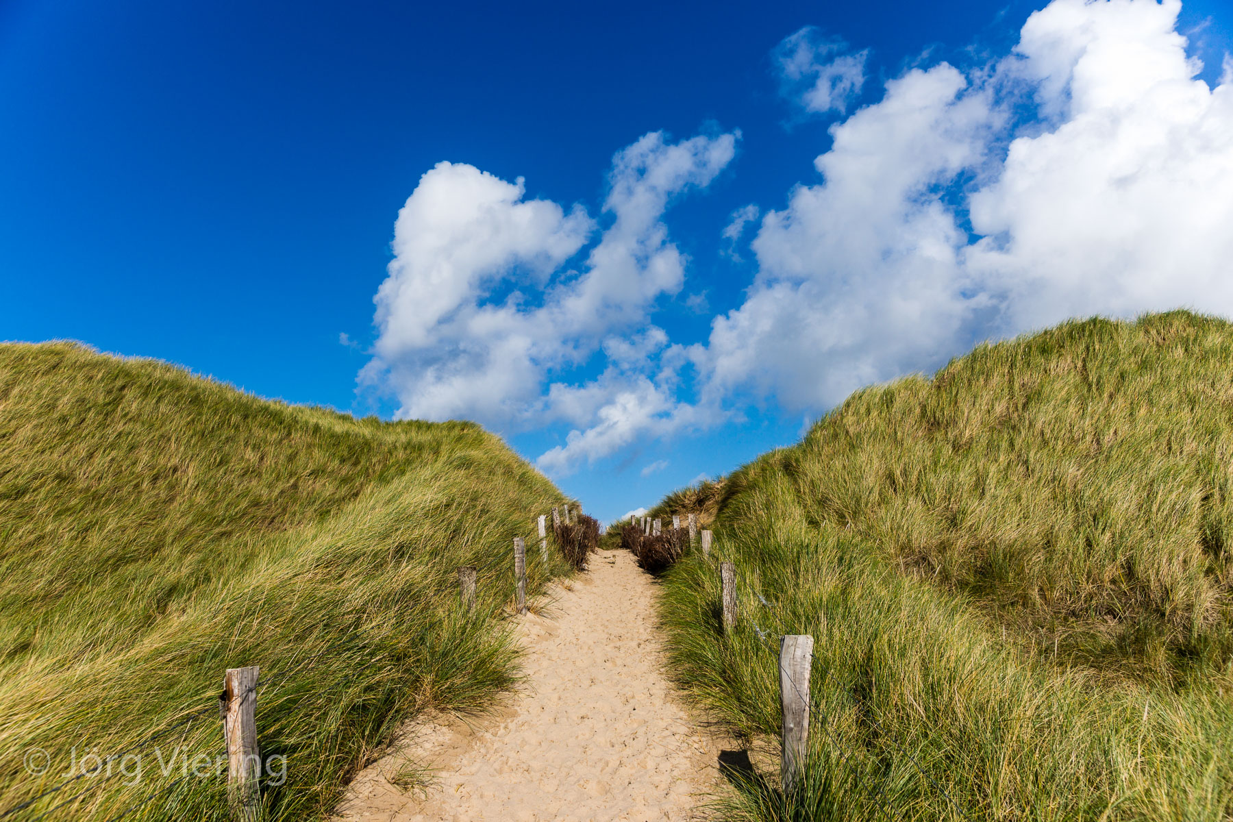 Dünen am Sylter Ellenbogen
