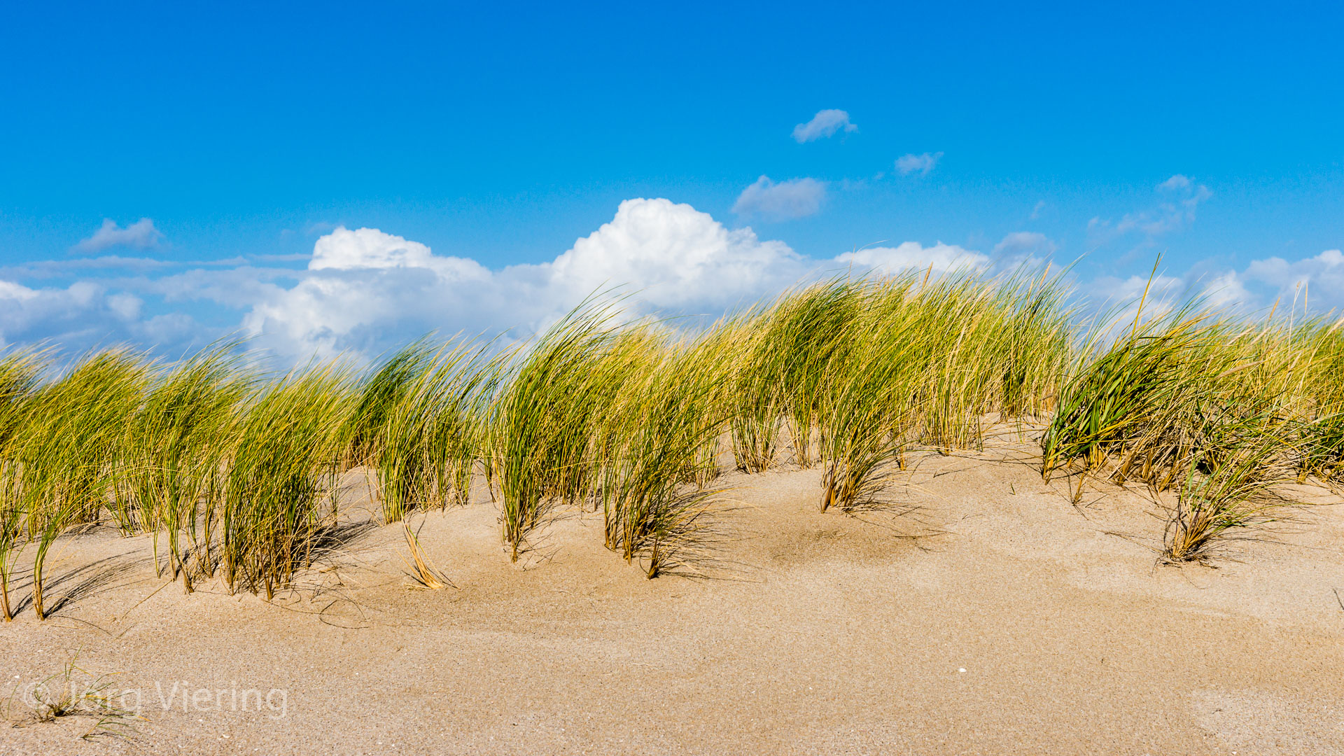 Am Strand des Sylter Ellenbogen