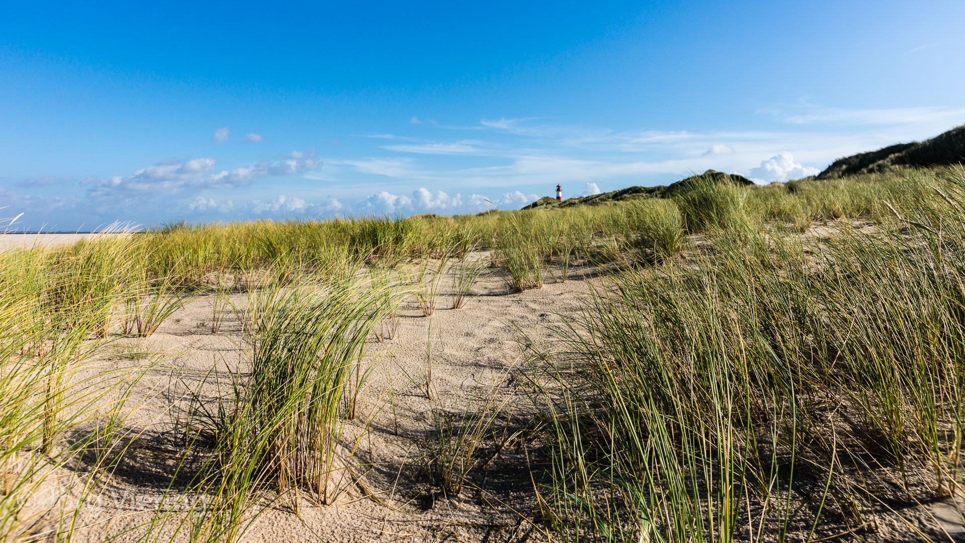 Am Strand beim Leuchtturm List Ost