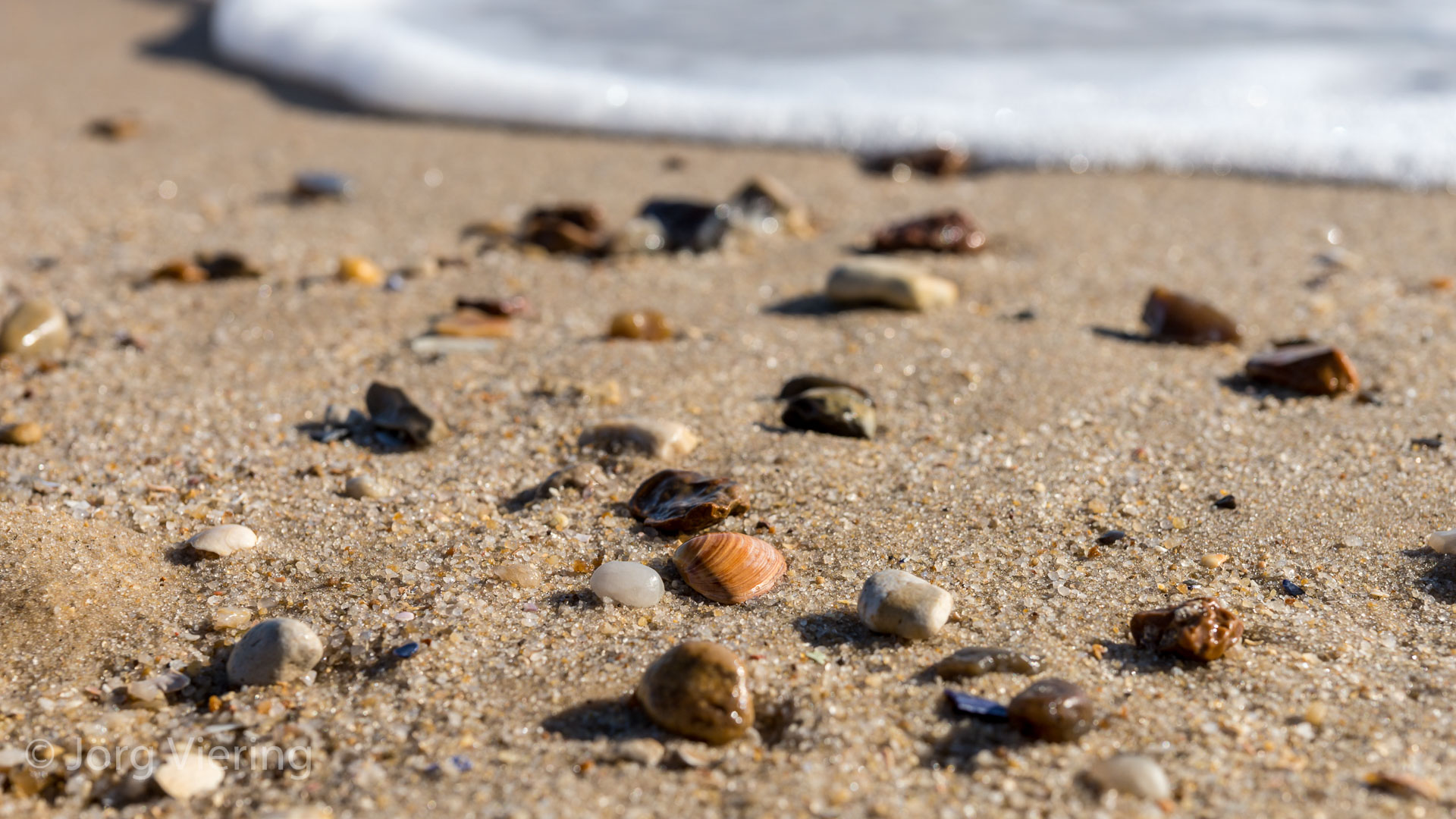 Am Strand des Sylter Ellenbogen