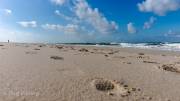 Der Strand vom Sylter Ellenbogen