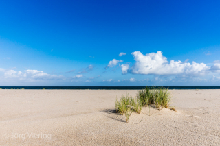 Am Strand des Sylter Ellenbogen