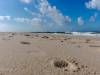 Der Strand vom Sylter Ellenbogen