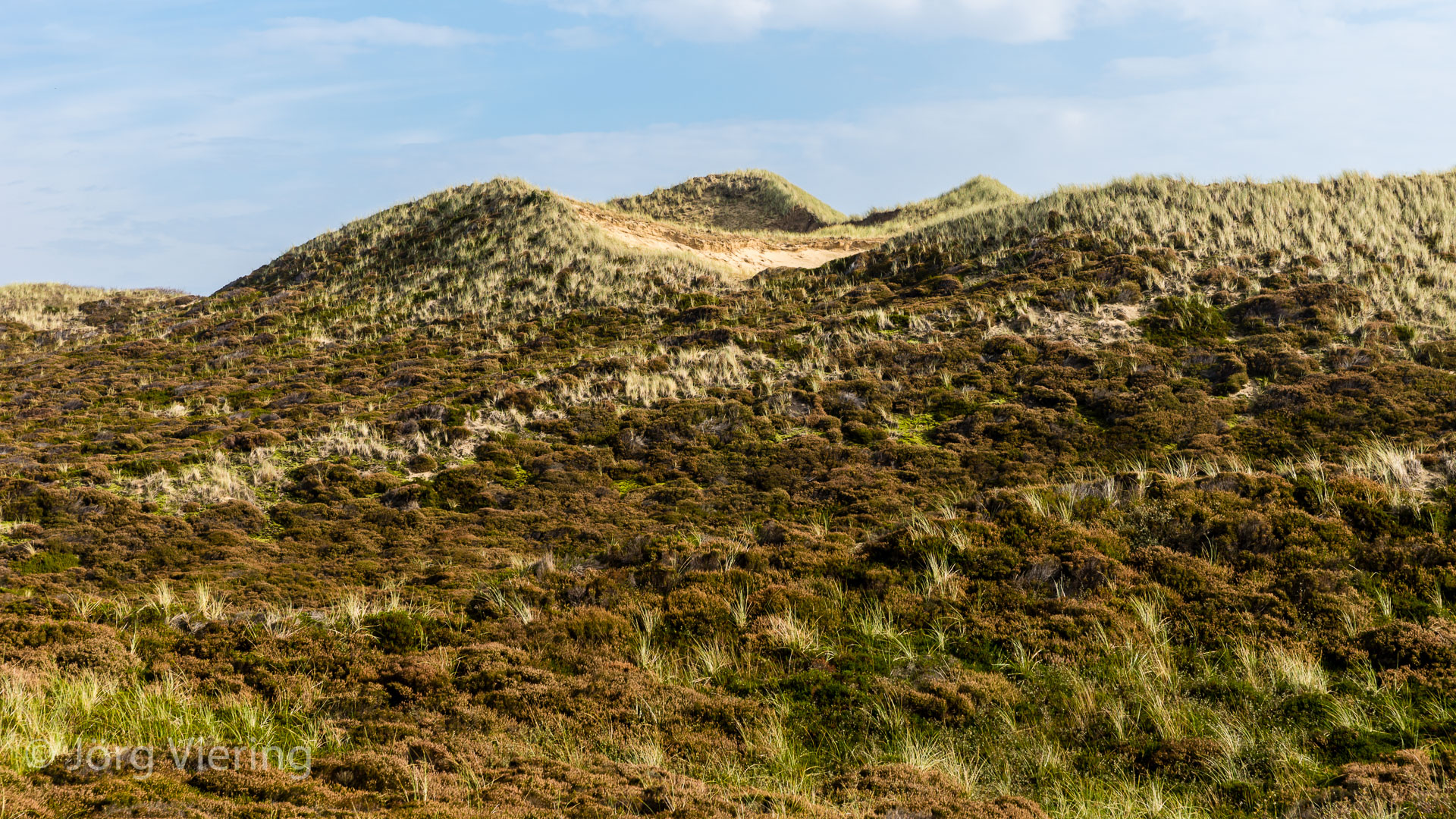 Sylter Dünen