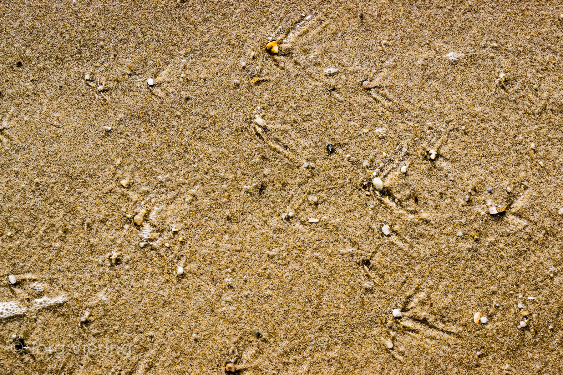 Am Strand
