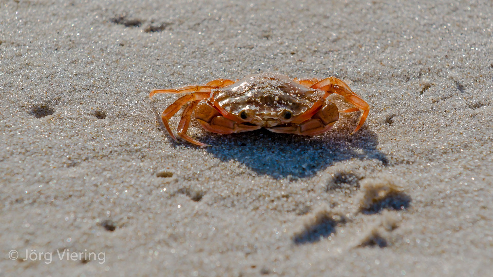 Am Strand