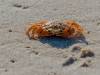Am Strand
