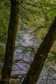 Bodetal