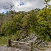 Bodetal