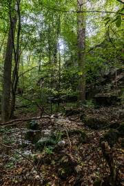Bodetal