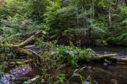 Bodetal