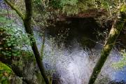 Bodetal