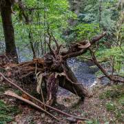 Bodetal