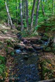 Bodetal
