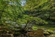Bodetal