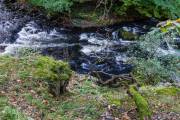 Bodetal