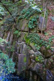 Bodetal