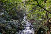 Bodetal