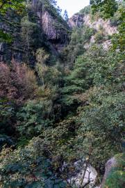Bodetal
