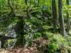 Bodetal