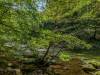 Bodetal