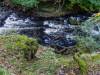 Bodetal