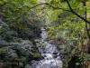 Bodetal