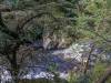 Bodetal