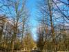 Tiergarten