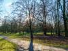 Tiergarten