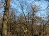 Tiergarten