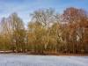 Tiergarten Dezember 2022