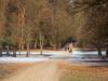 Tiergarten Dezember 2022
