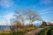 Am Brodtener Ufer