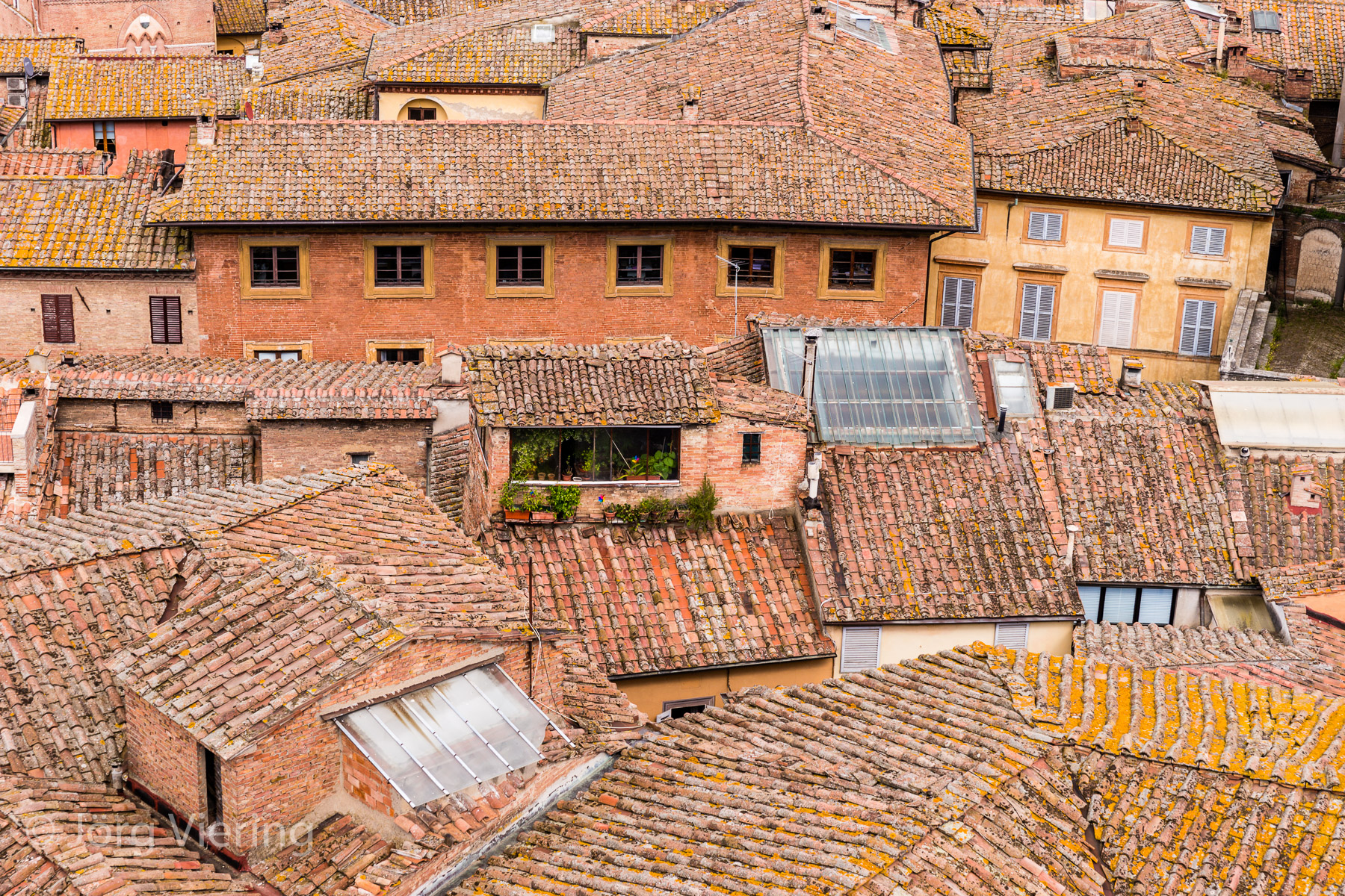 Siena