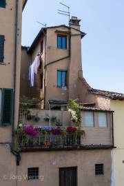 Lucca
