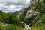 Carrara