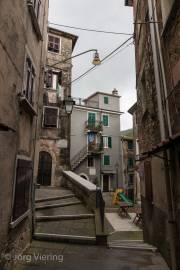 Colonata