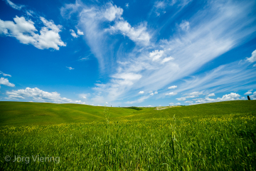 Auf dem Weg nach Montalcino