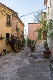 Massa Maritima