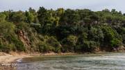 Lacona auf Elba